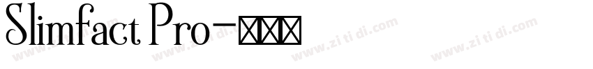 Slimfact Pro字体转换